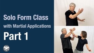 Yang Style Solo Form with Martial Applications. Part 1