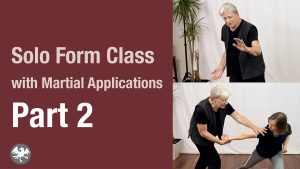 Yang Style Solo Form with Martial Applications. Part 2